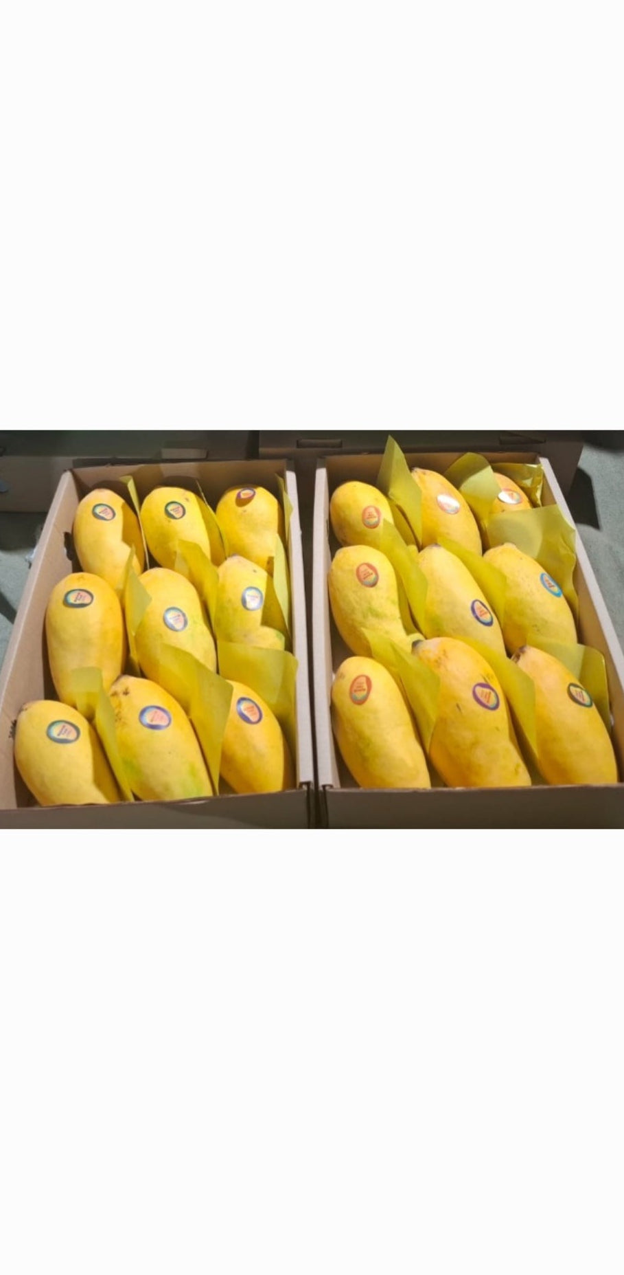 Pakistani Sweet Mango 4.5kg box