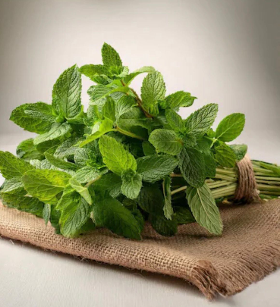 Fresh Mint (Pudina leaves)- 1 Bunch