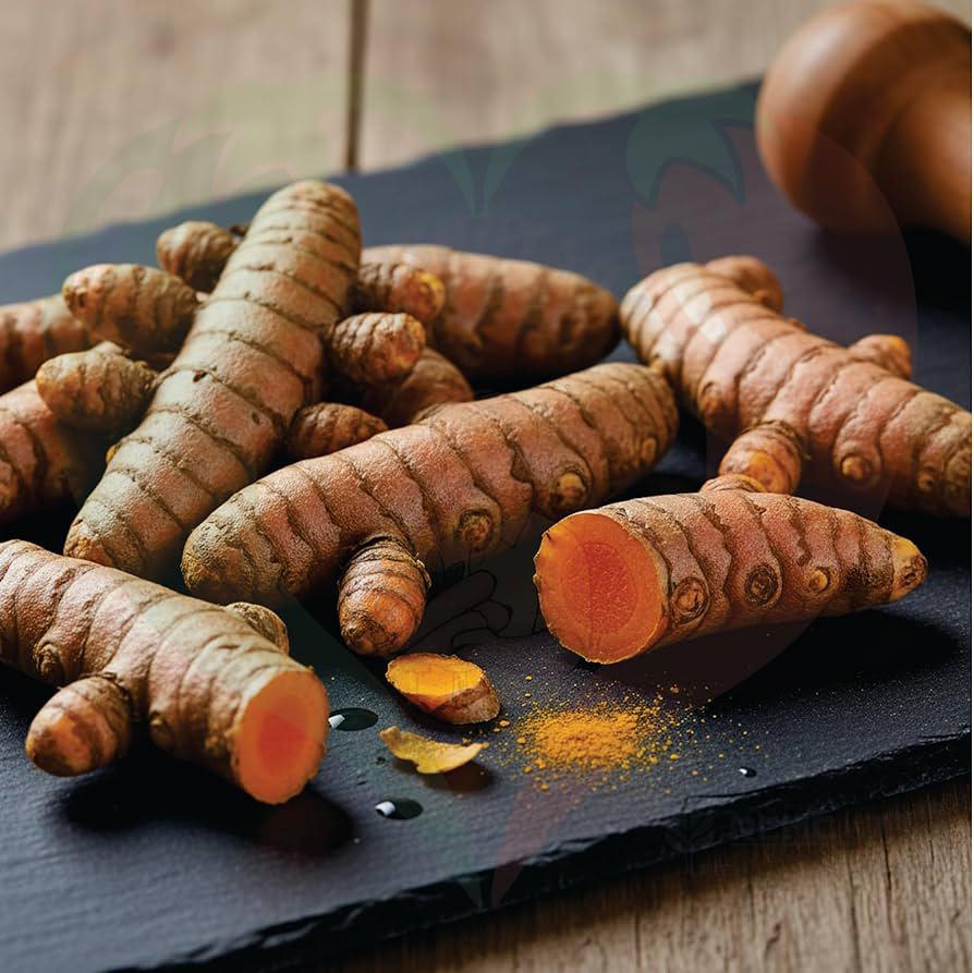 Fresh Whole Turmeric Root (Haldi) | Pure & Nutritious