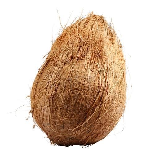 Coconut (Nariyal)