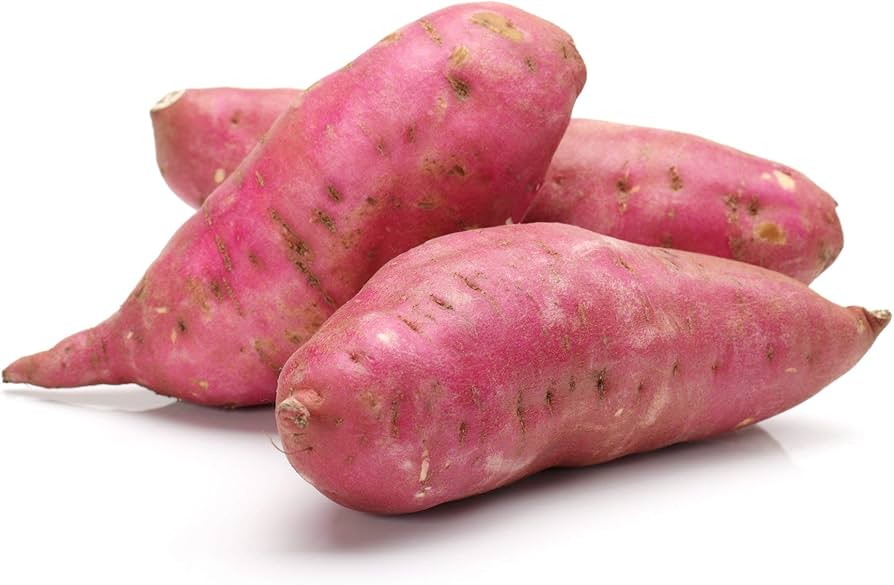 Sweet Potato Red (Shakr Gandi)