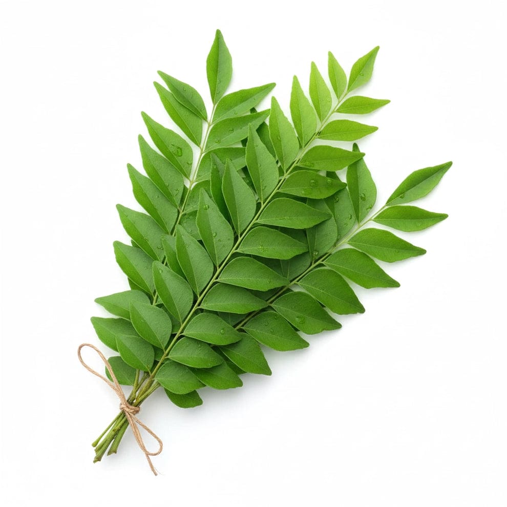 Fresh Kadi Patta (Curry Leaves) - 500 Gram