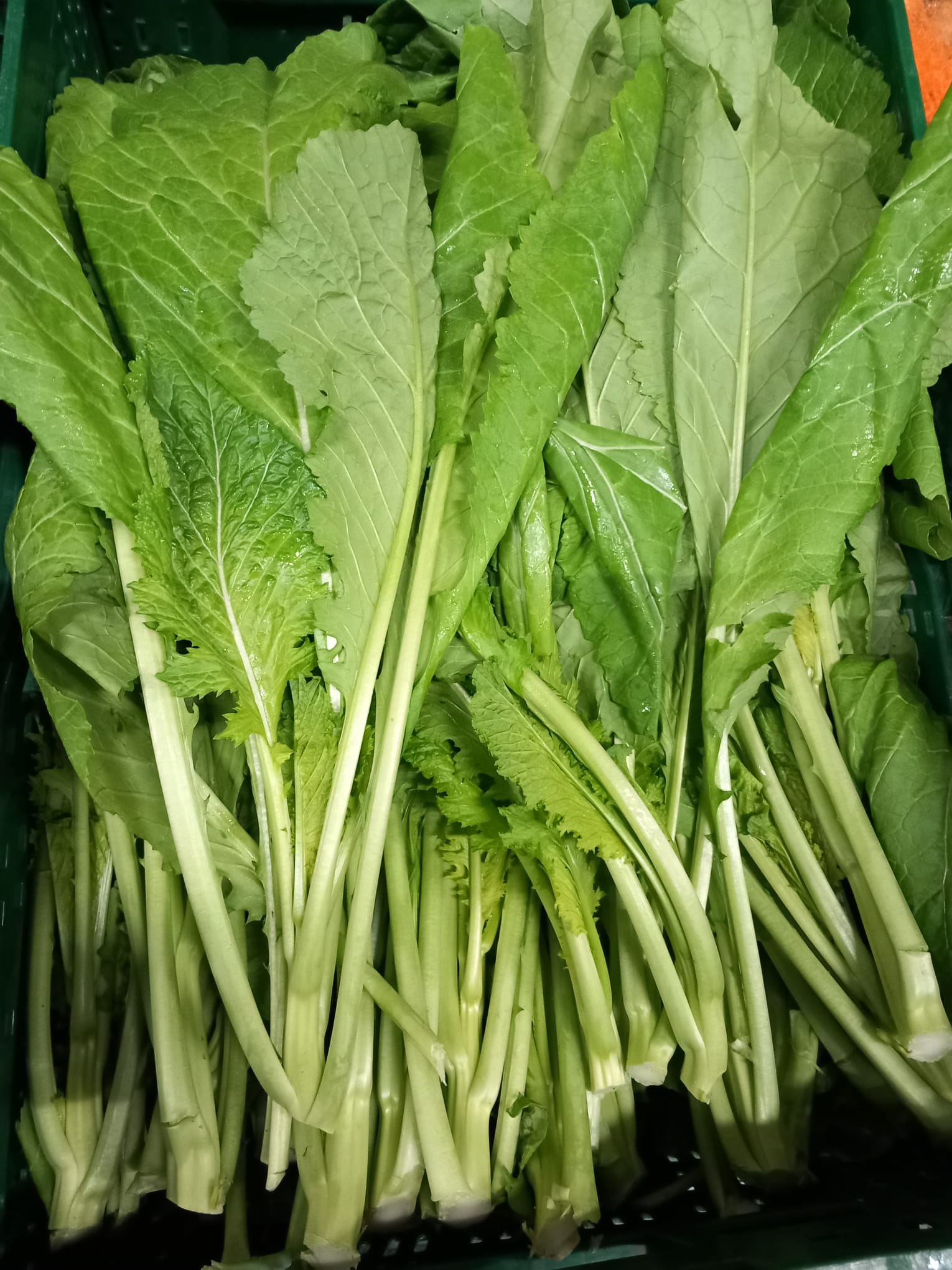 Freshly Prepared Punjabi Sarson Ka Saag (1kg Pack)