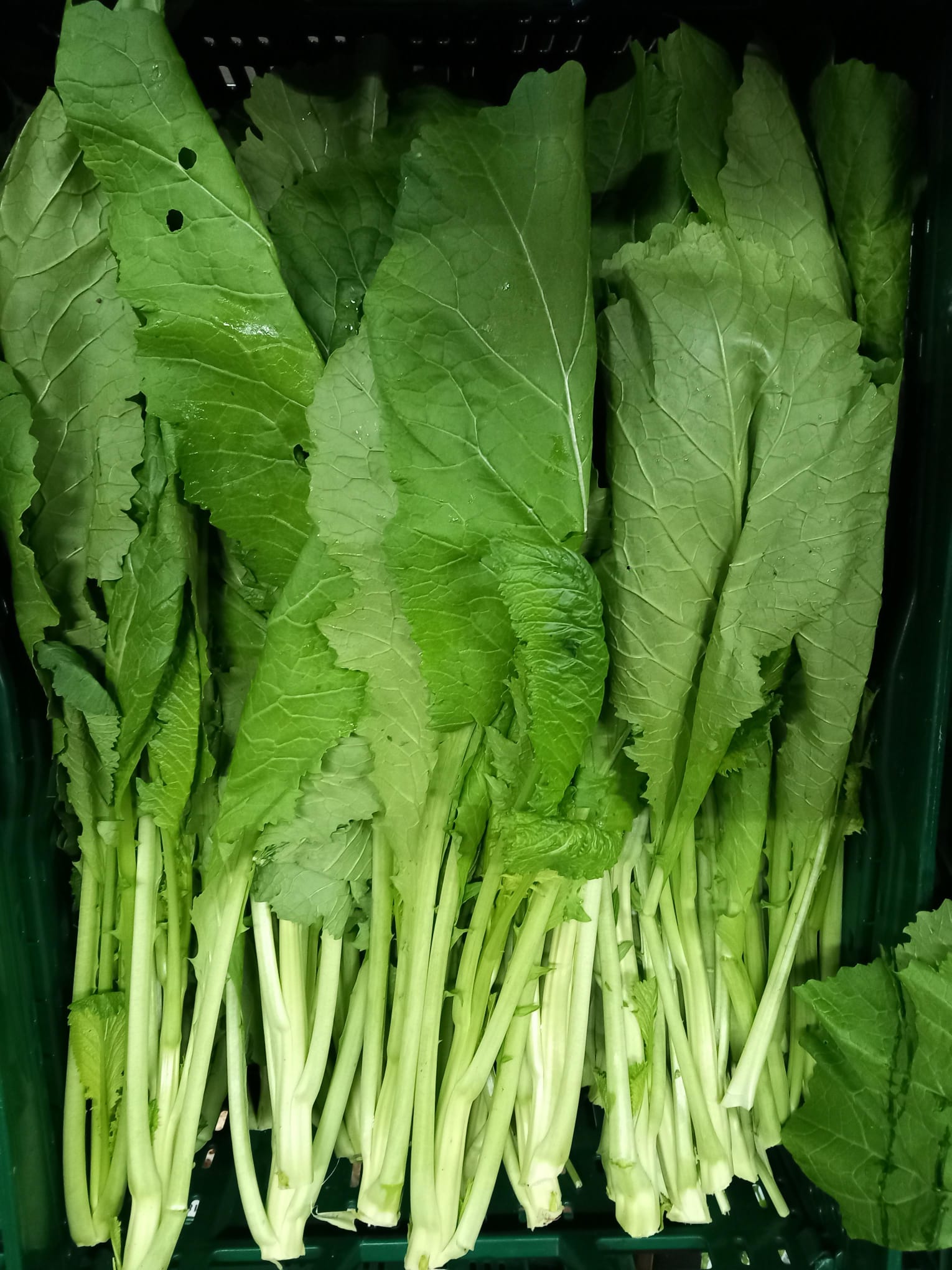 Freshly Prepared Punjabi Sarson Ka Saag (1kg Pack)
