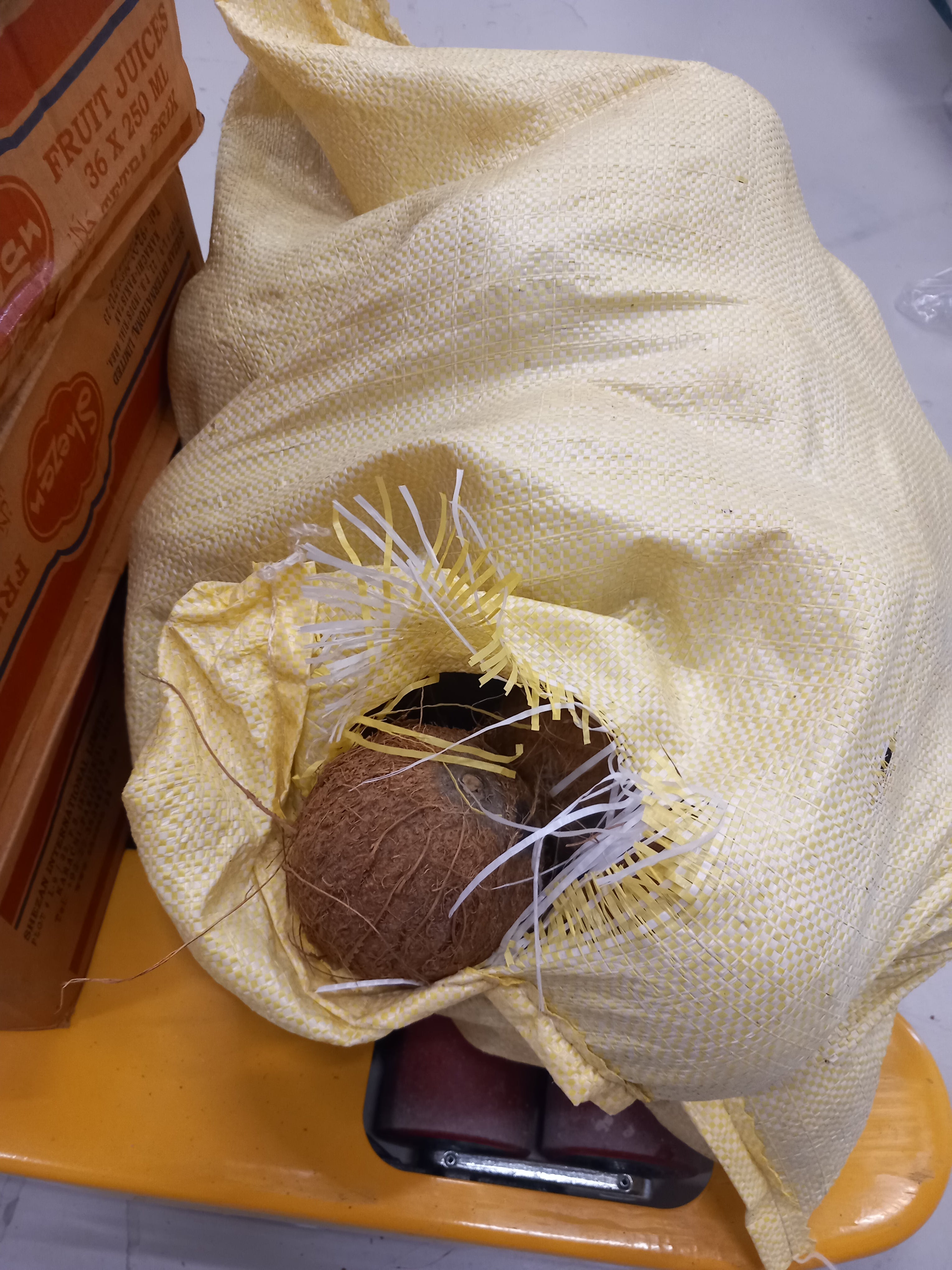 Coconut (Nariyal)