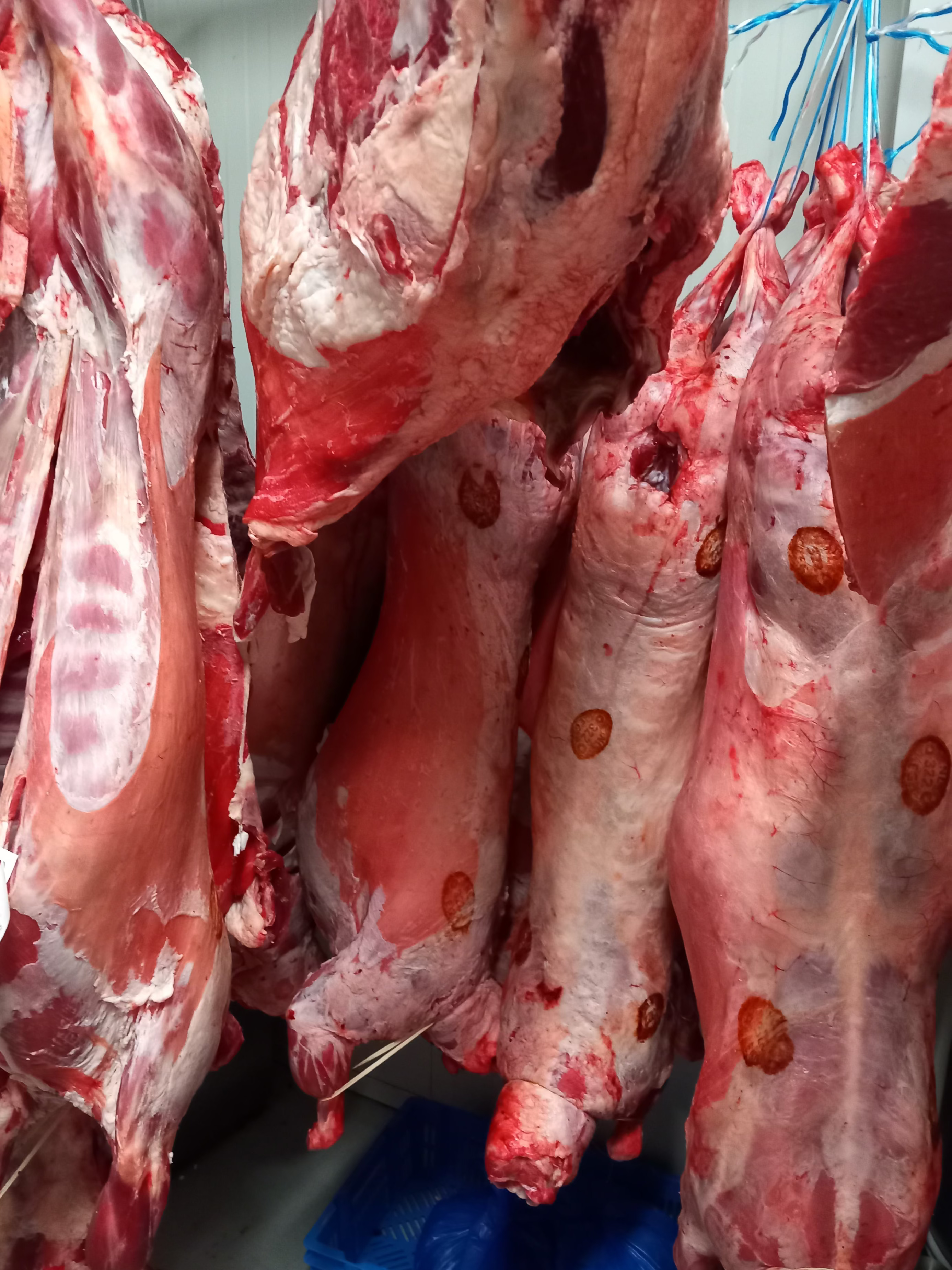 Halal Lamb Meat