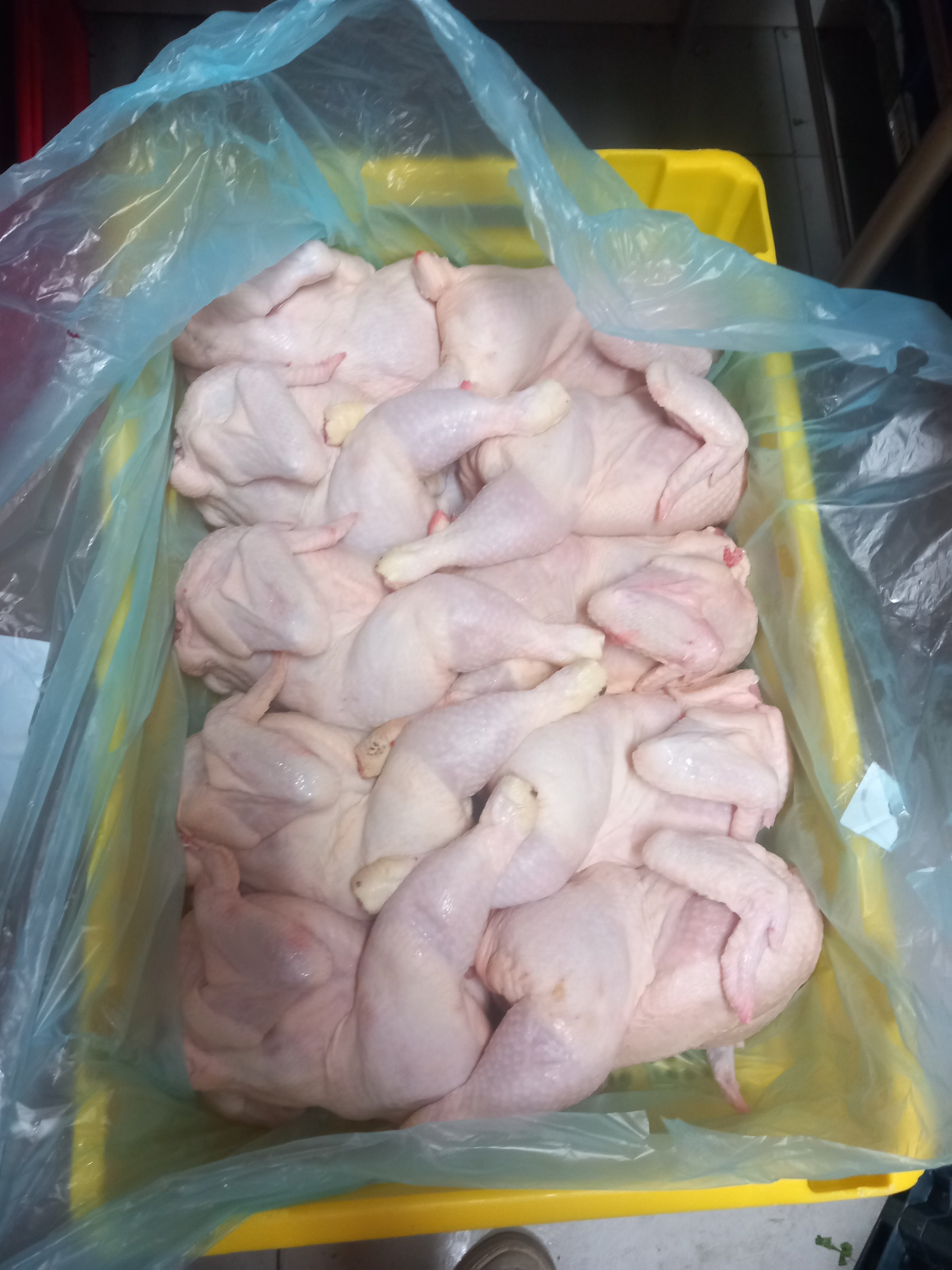 Full Chicken halal – Skin Removed & Small Pieces (1300g)